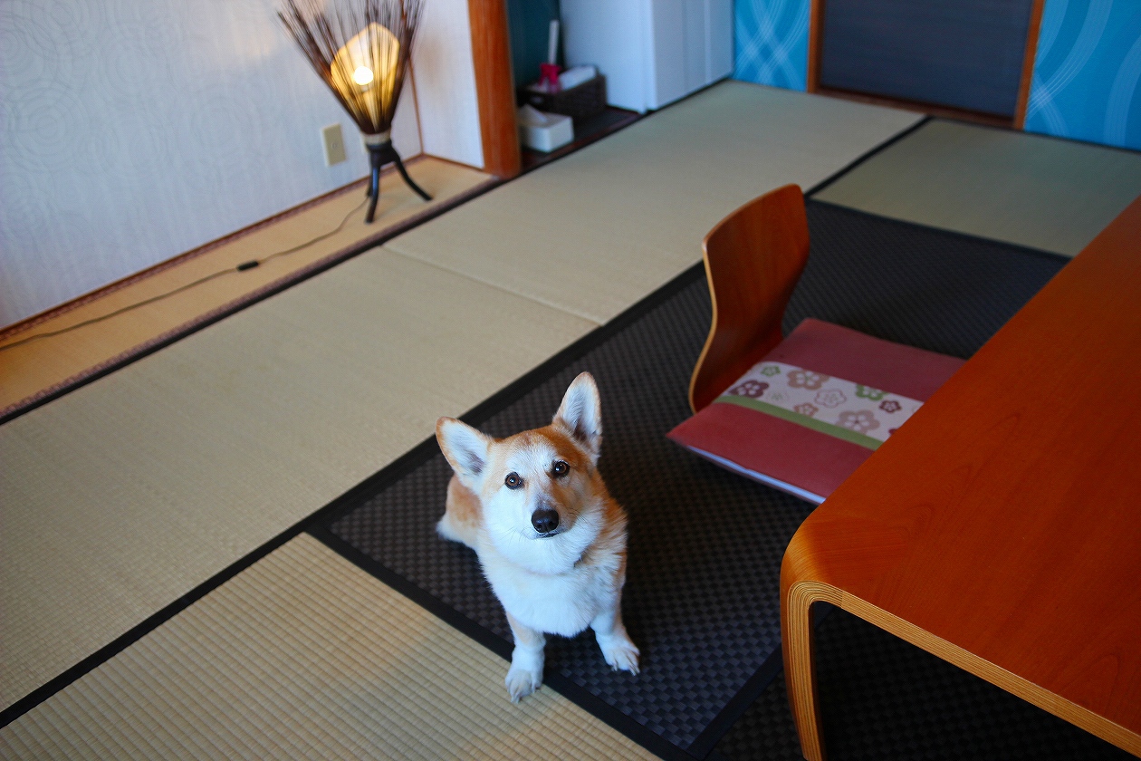 【スタンダード】マウンテンビュー和モダン（10畳+2畳広縁）