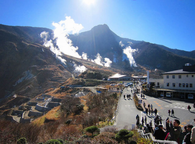 写真1