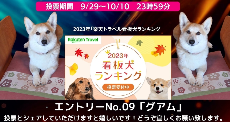 2023年楽天トラベル看板犬ランキング　エントリーしてます！