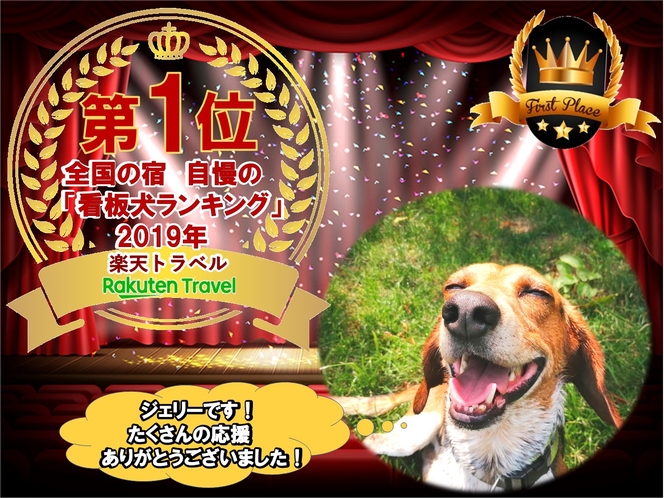 楽天トラベル　2019年全国の宿　自慢の「看板犬ランキング」にて当館のジェリーが第1位に輝きました！