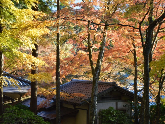 長安寺