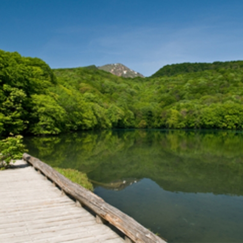 【周辺景観】「蔦七沼」神秘的な景色を魅せる7つの湖沼の総称。自然の力強さを感じ取ることができます。