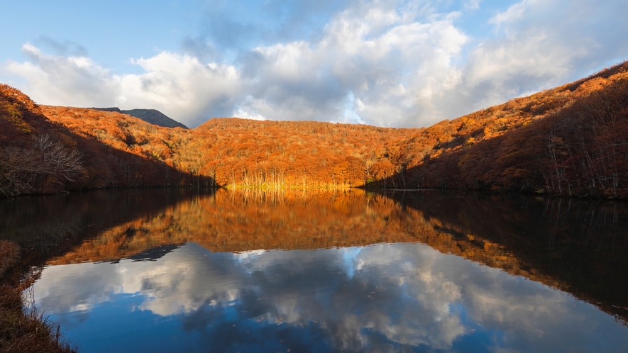 【周辺景観】「蔦沼」最も観光客が訪れる紅葉シーズンは、息を吞むほどの神秘的な景色を魅せます。