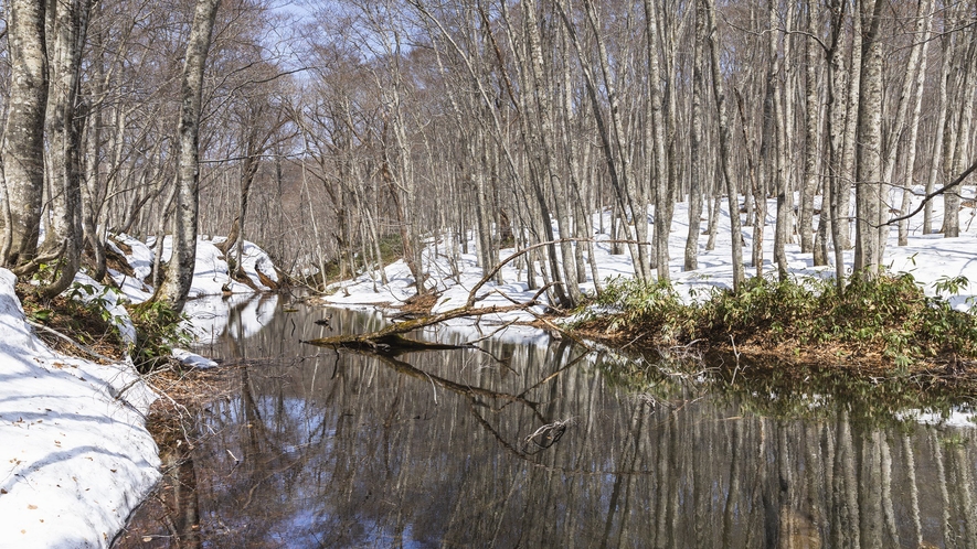 【周辺景観】「蔦七沼」神秘的な景色を魅せる7つの湖沼の総称。雪に染まり一面銀世界に様変わり。