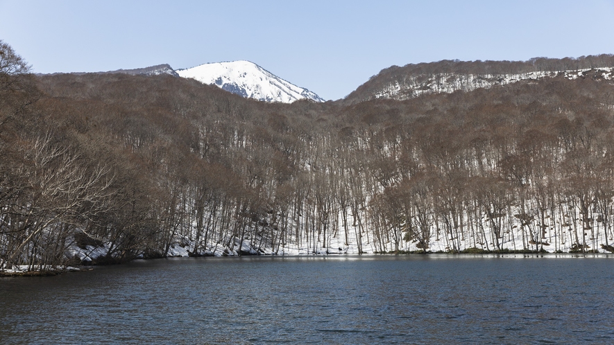 【周辺景観】「蔦七沼」神秘的な景色を魅せる7つの湖沼の総称。雪に染まり一面銀世界に様変わり。