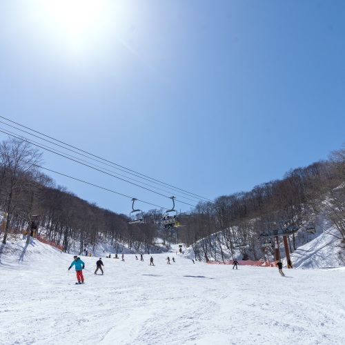 写真3