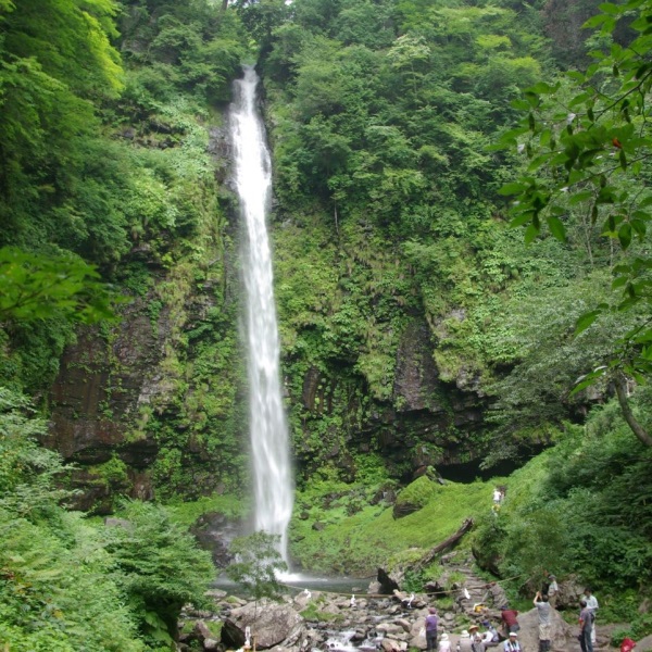 写真7