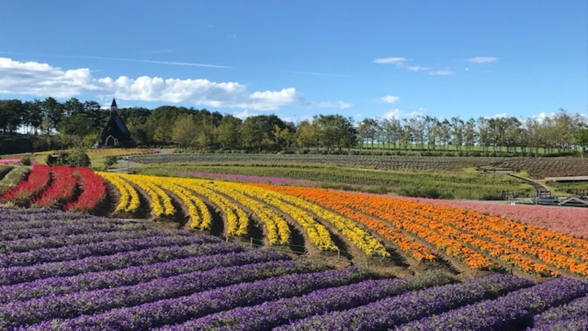 ◇牧歌の里　秋の虹色の花畑