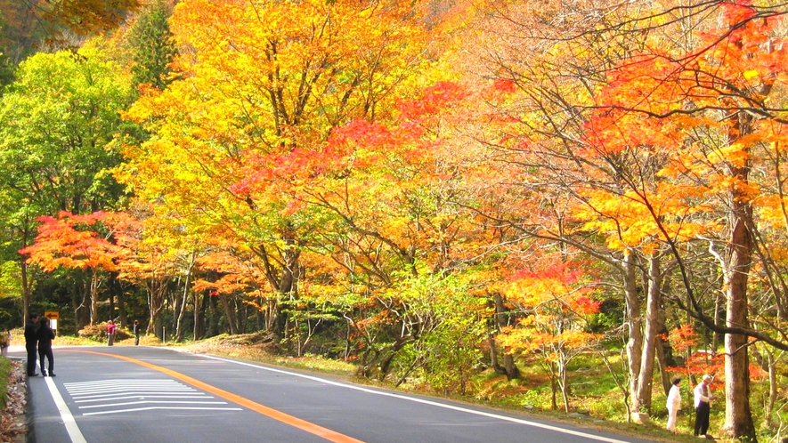 ◇せせらぎ街道の紅葉