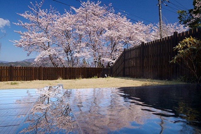 写真3