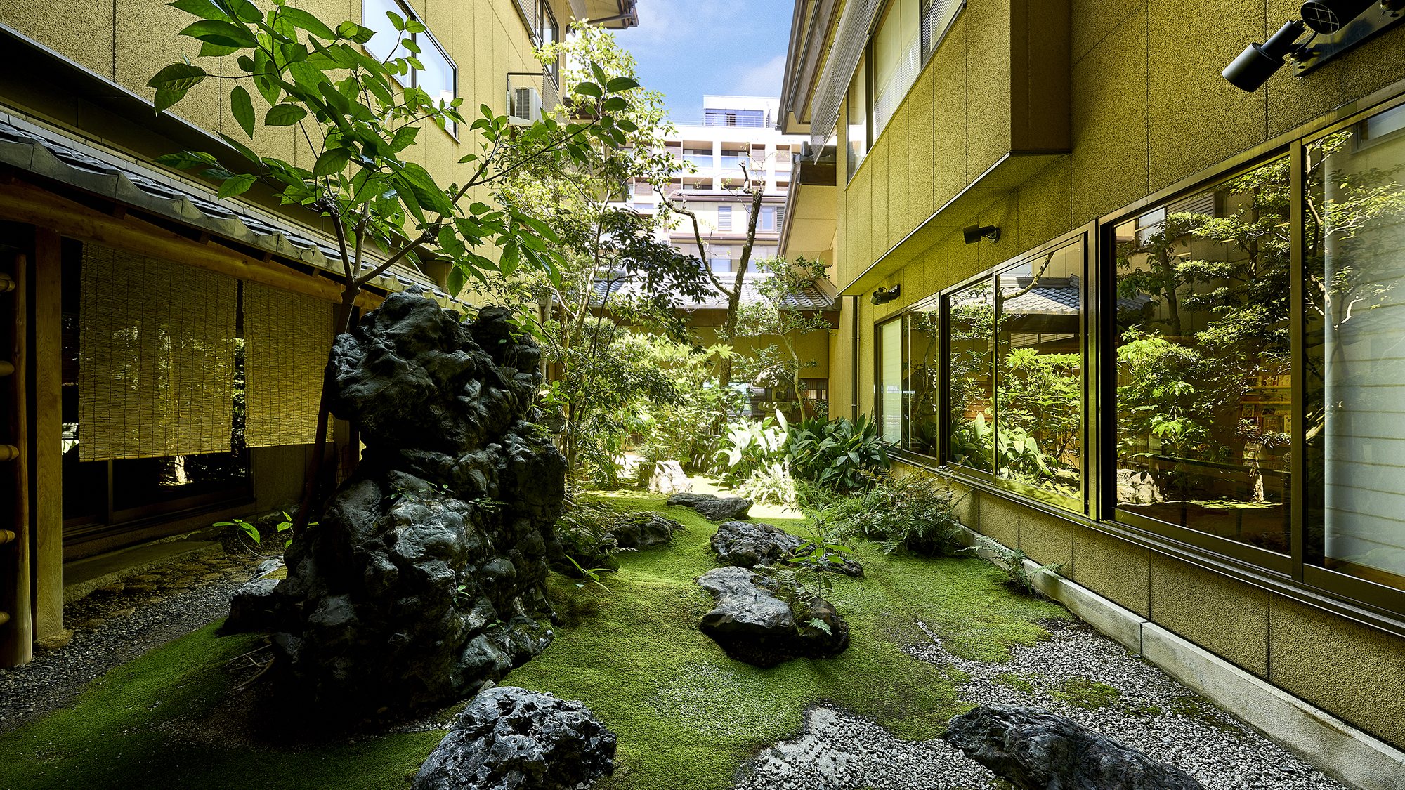 【中庭】和の静けさと美しさを感じる日本庭園