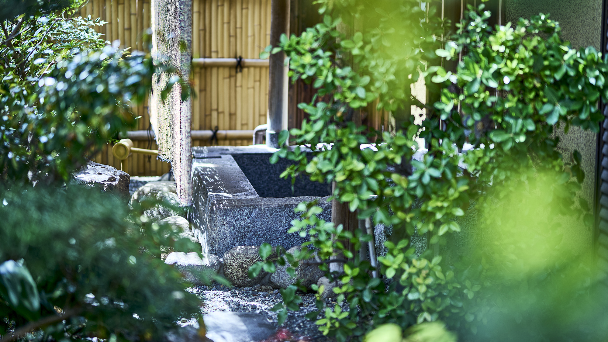 庭園や客室の坪庭など、館内の豊かな緑は四季ごとに異なる表情で空間を彩ります。