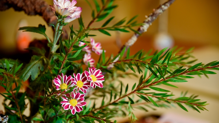 【玄関】秋のお花・当館では季節のお花×掛け軸×骨董で館内・お部屋を彩っております。