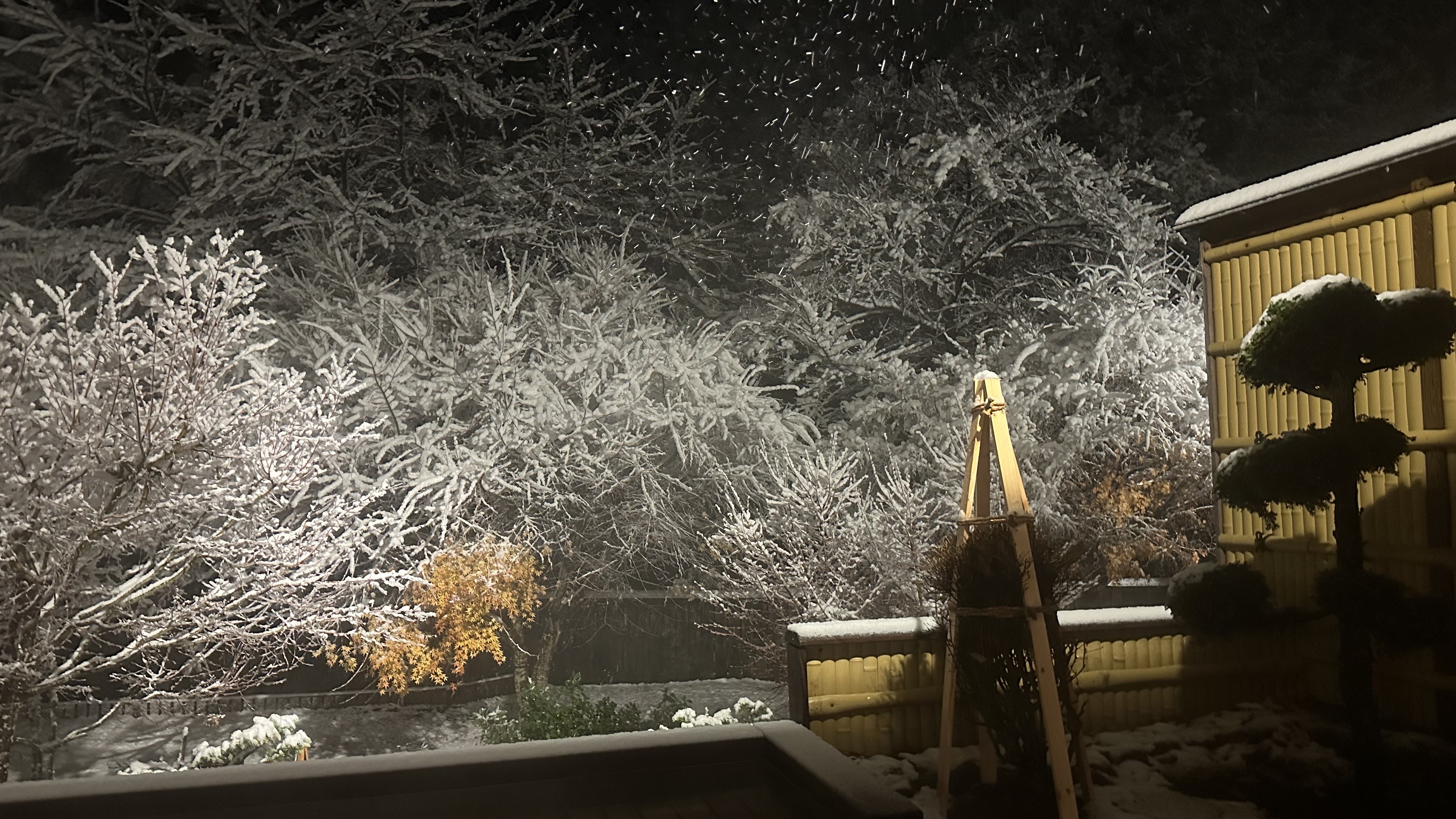 夜の雪景色は幻想的です