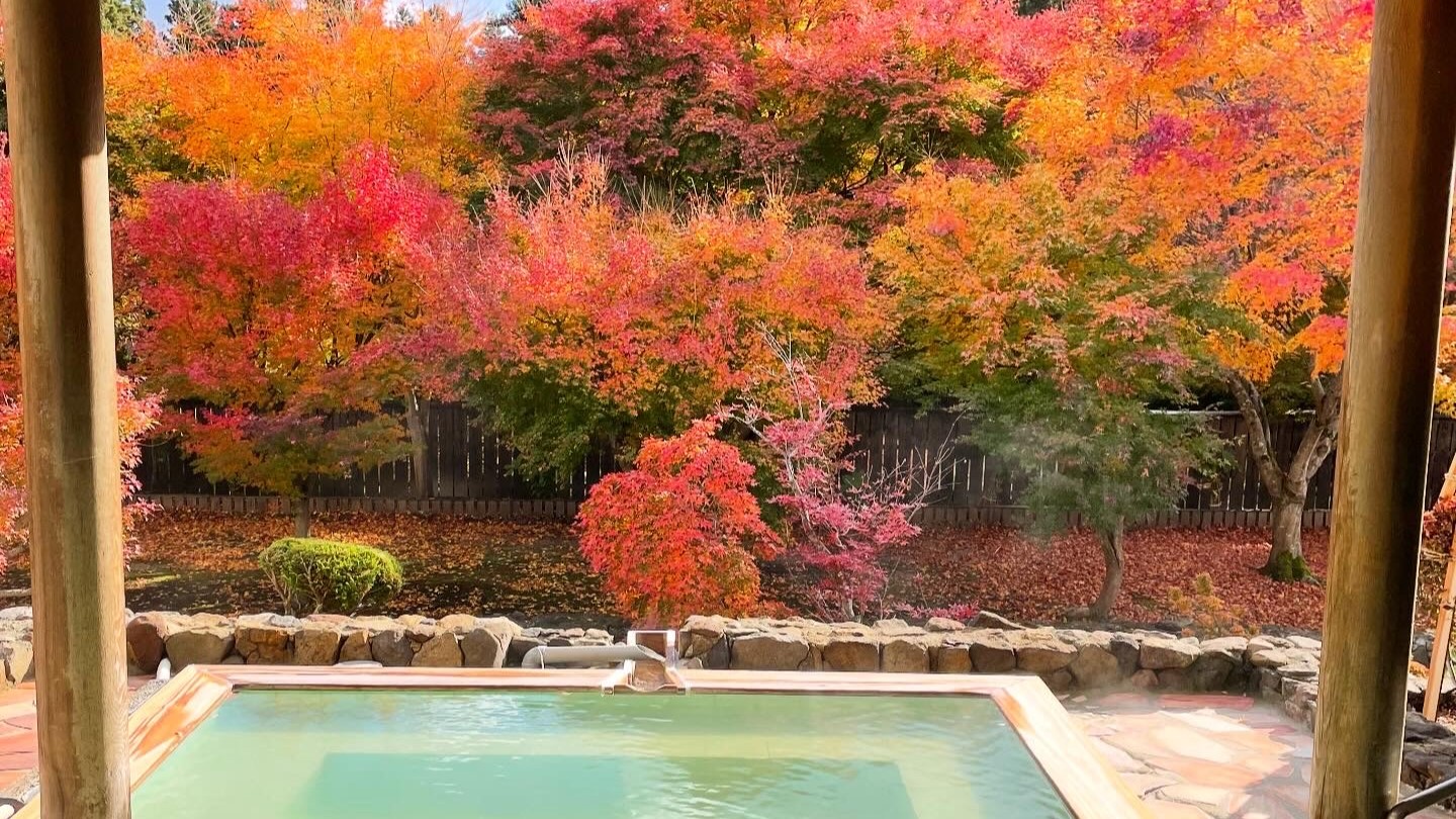 露天風呂から望む紅葉