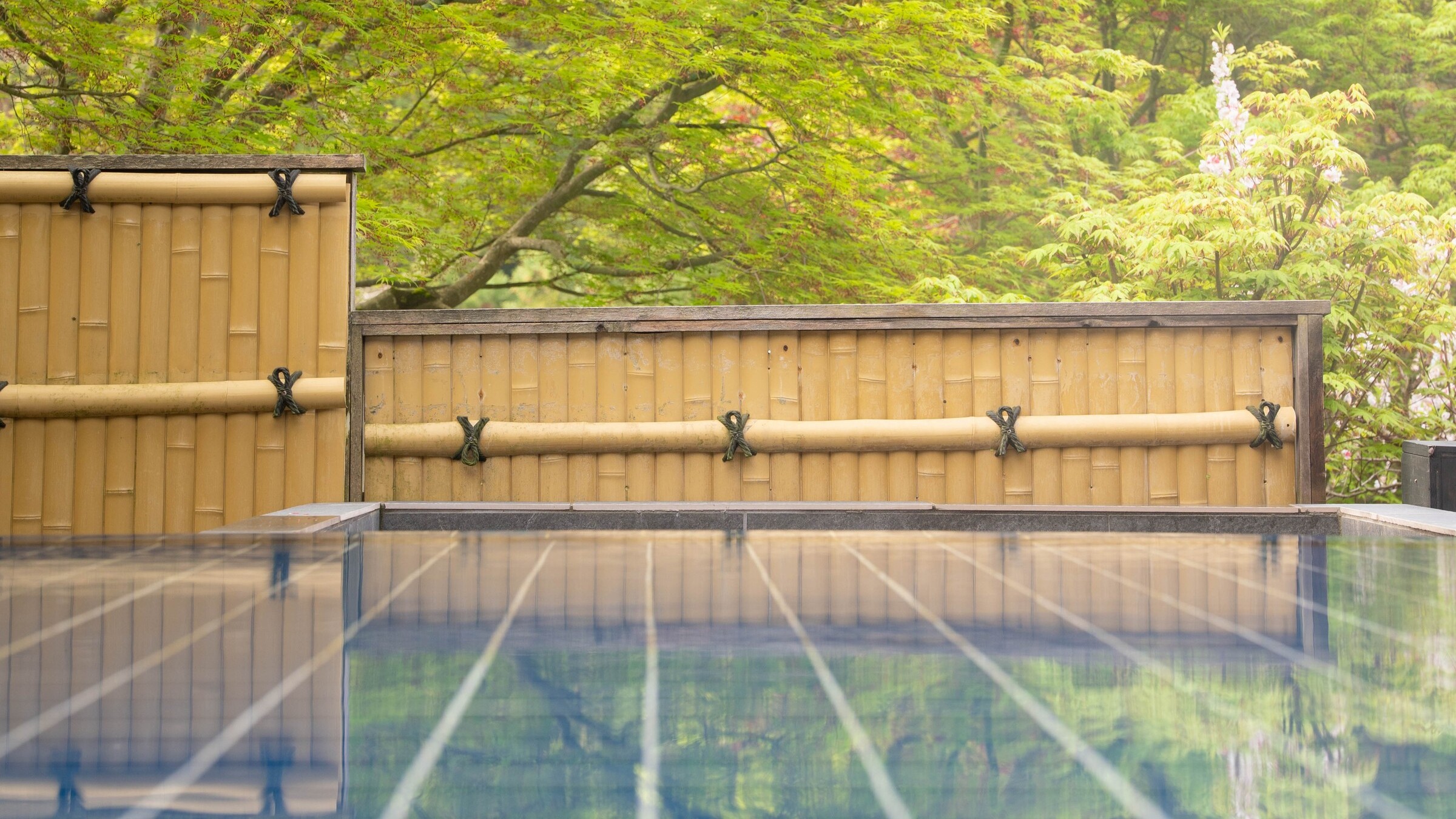 水盤から望む四季折々の景色。5月からは新緑が眩しい季節です