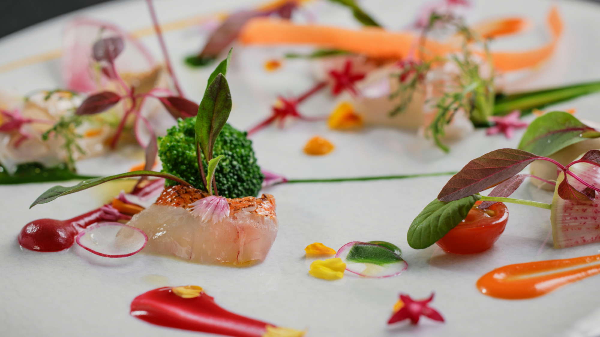 【2025秋・ディナーメニュー】前菜：秋の鮮魚と旬野菜のサラダ