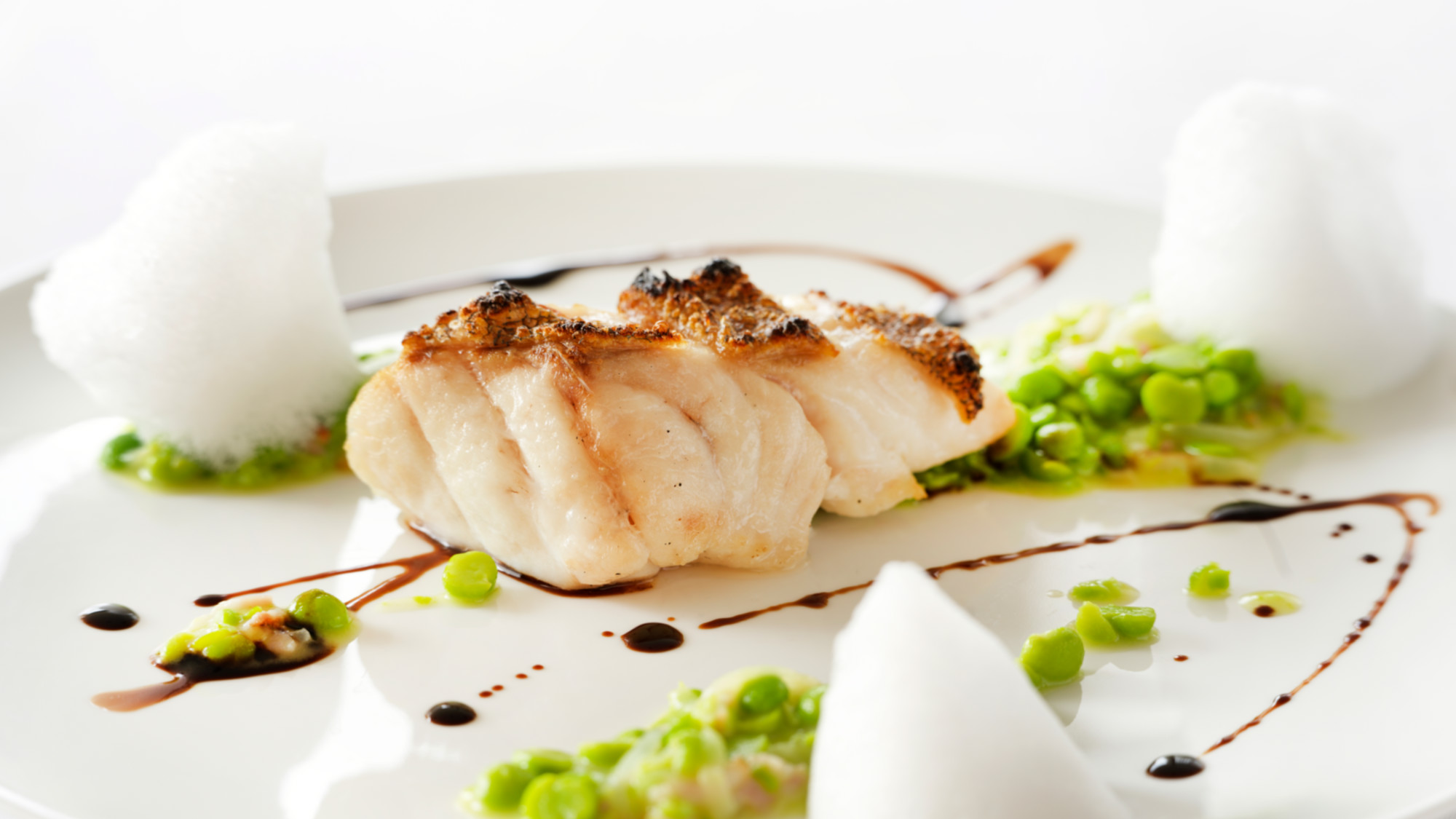 【2026春・ディナーメニュー】メイン：近海ハタのグリル グリーンピースのソース