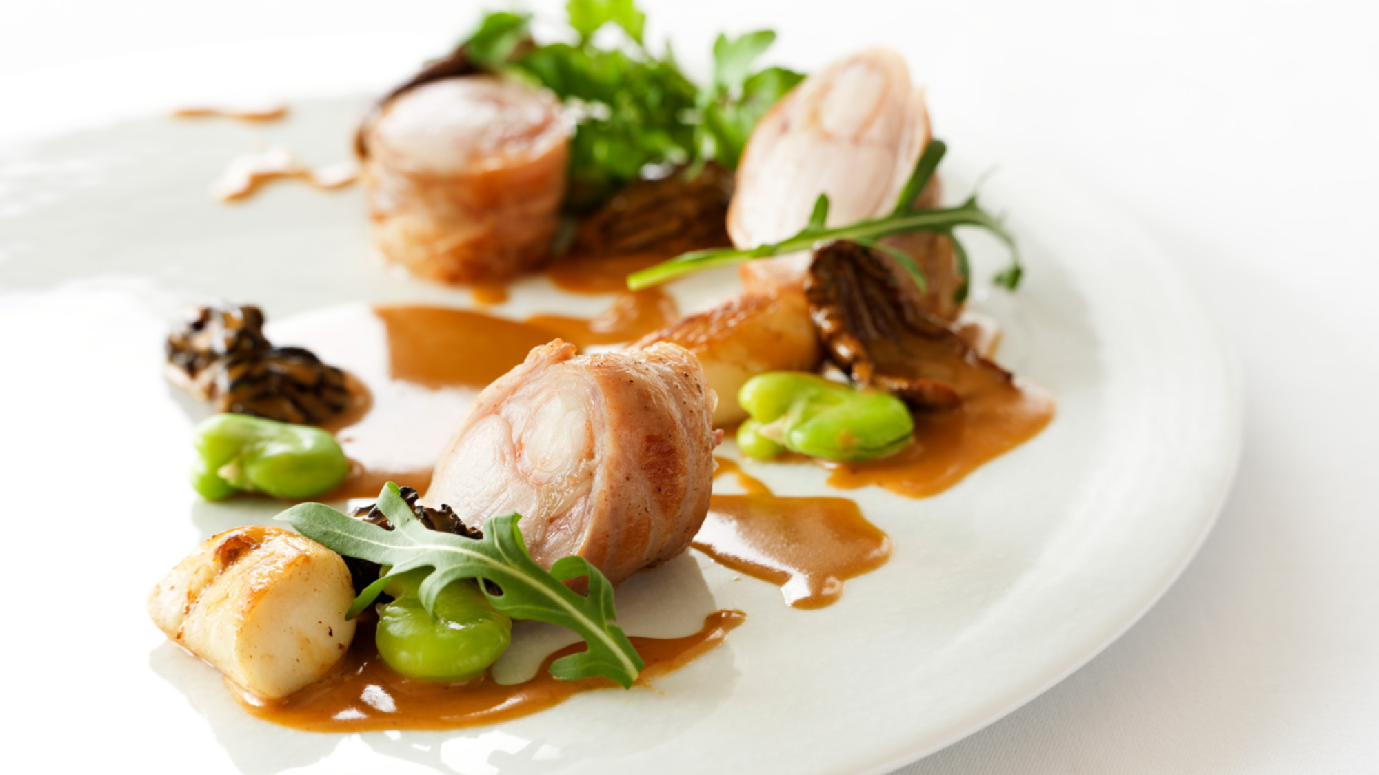 【2026春・ディナーメニュー】メイン：イタリア産 仔ウサギ 海老のファルシー モリーユ茸のソース
