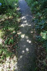 日だまり散歩道縦位置