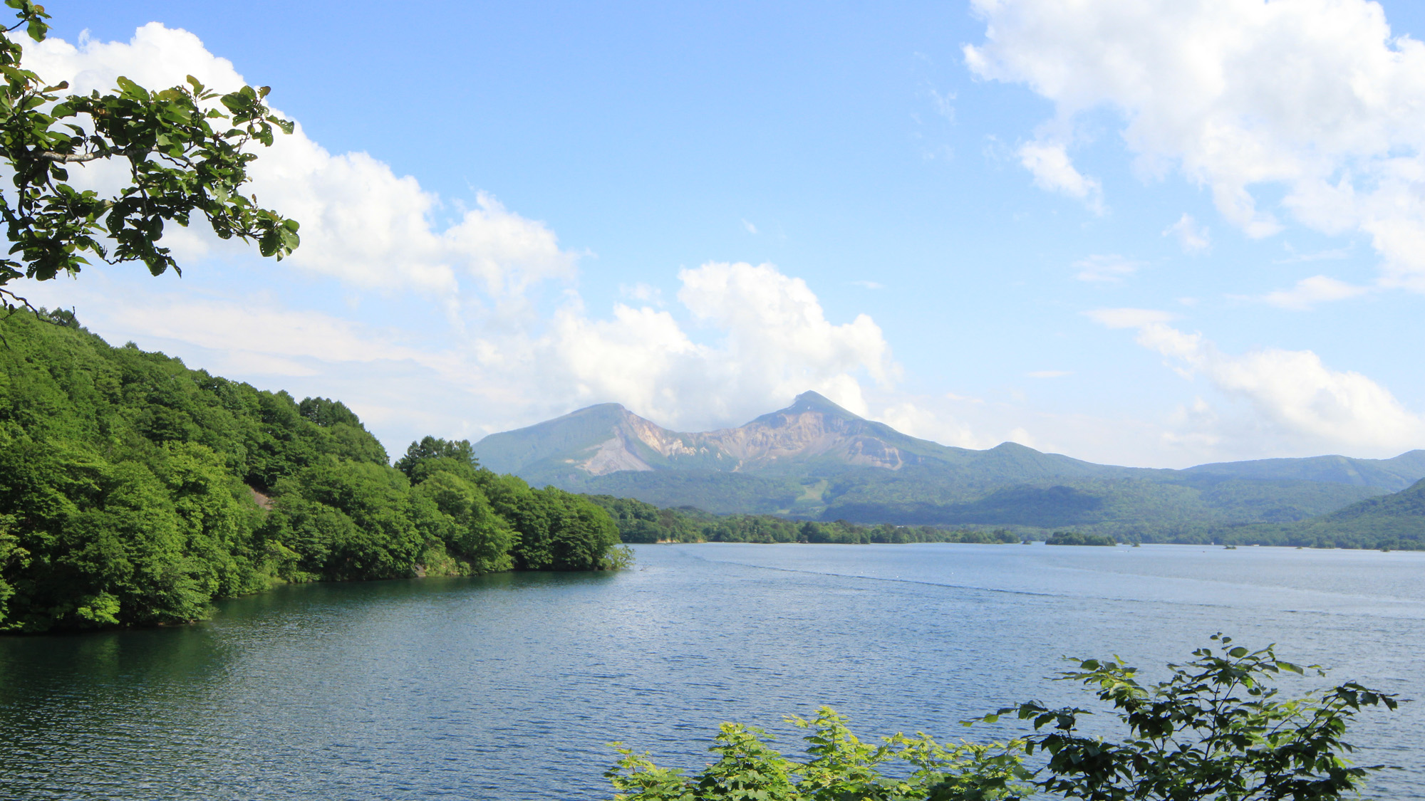 Ttxokmkmyz29m Ttxokmkmyz29m