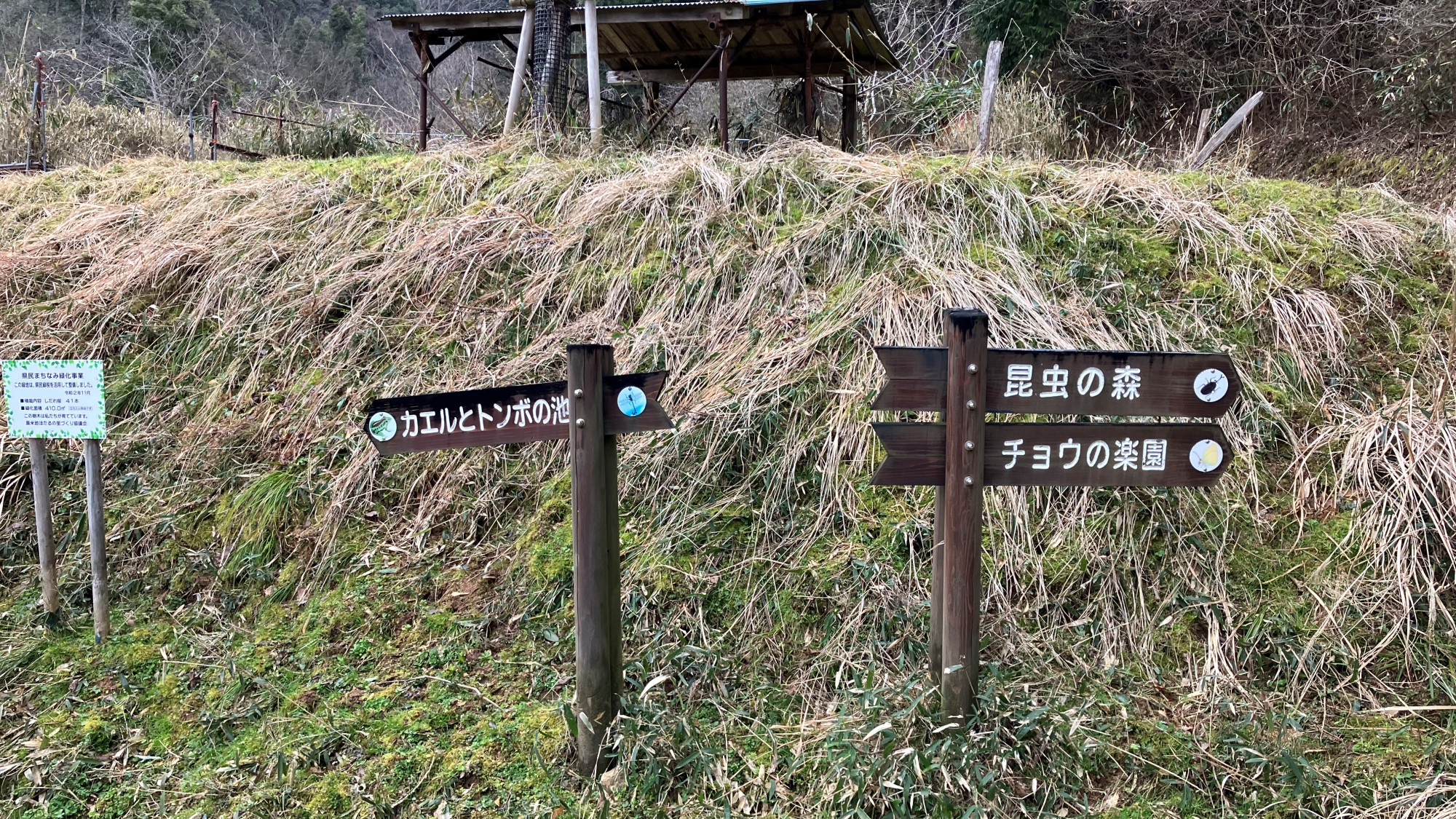 *【周辺の風景】チョウの楽園