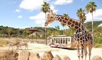 【アドベンチャーワールド割引】現地で10％オフのお得旅行！小学生は半額！♪車で10分の立地！