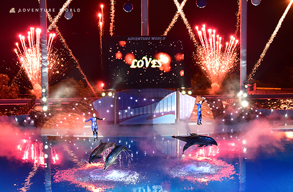 ナイトマリンライブ（アドベンチャーワールド）