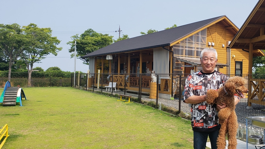 当館看板犬プードルのカバタくんです♪皆様をお待ちしております！