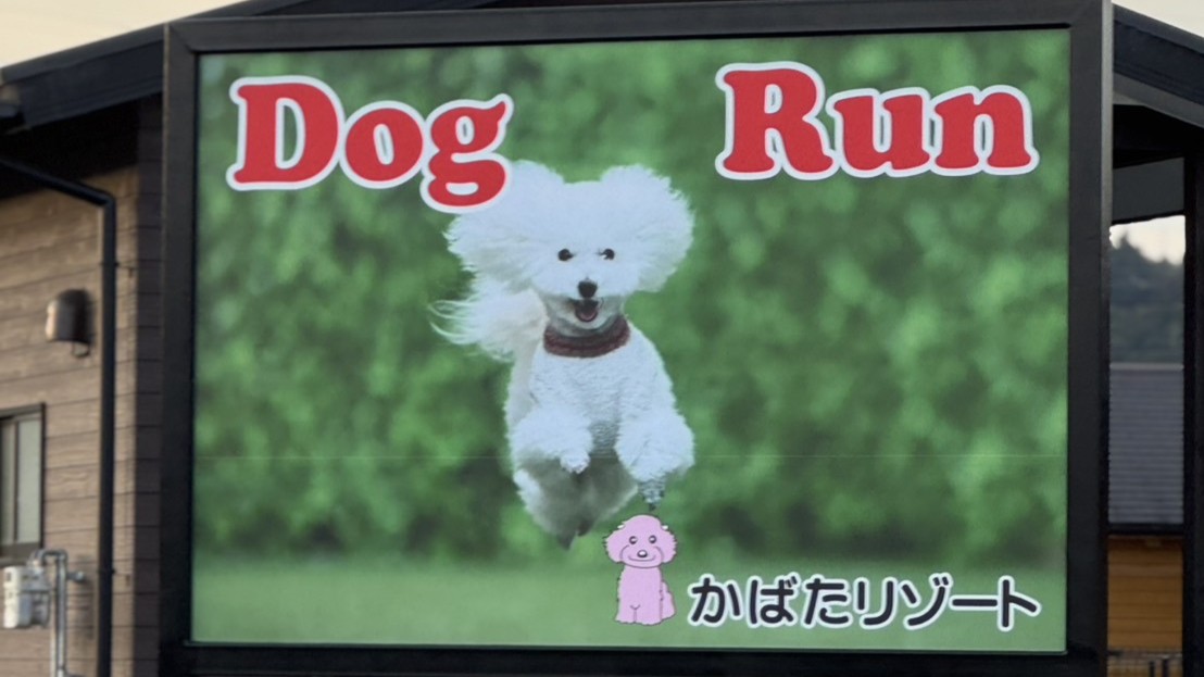 *老朽化に伴い看板を13年ぶりにリニューアルいたしました！こちらの看板を目印にお越しくださいね♪