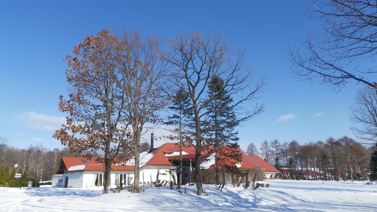 【観光画像】ノーザンホースパーク