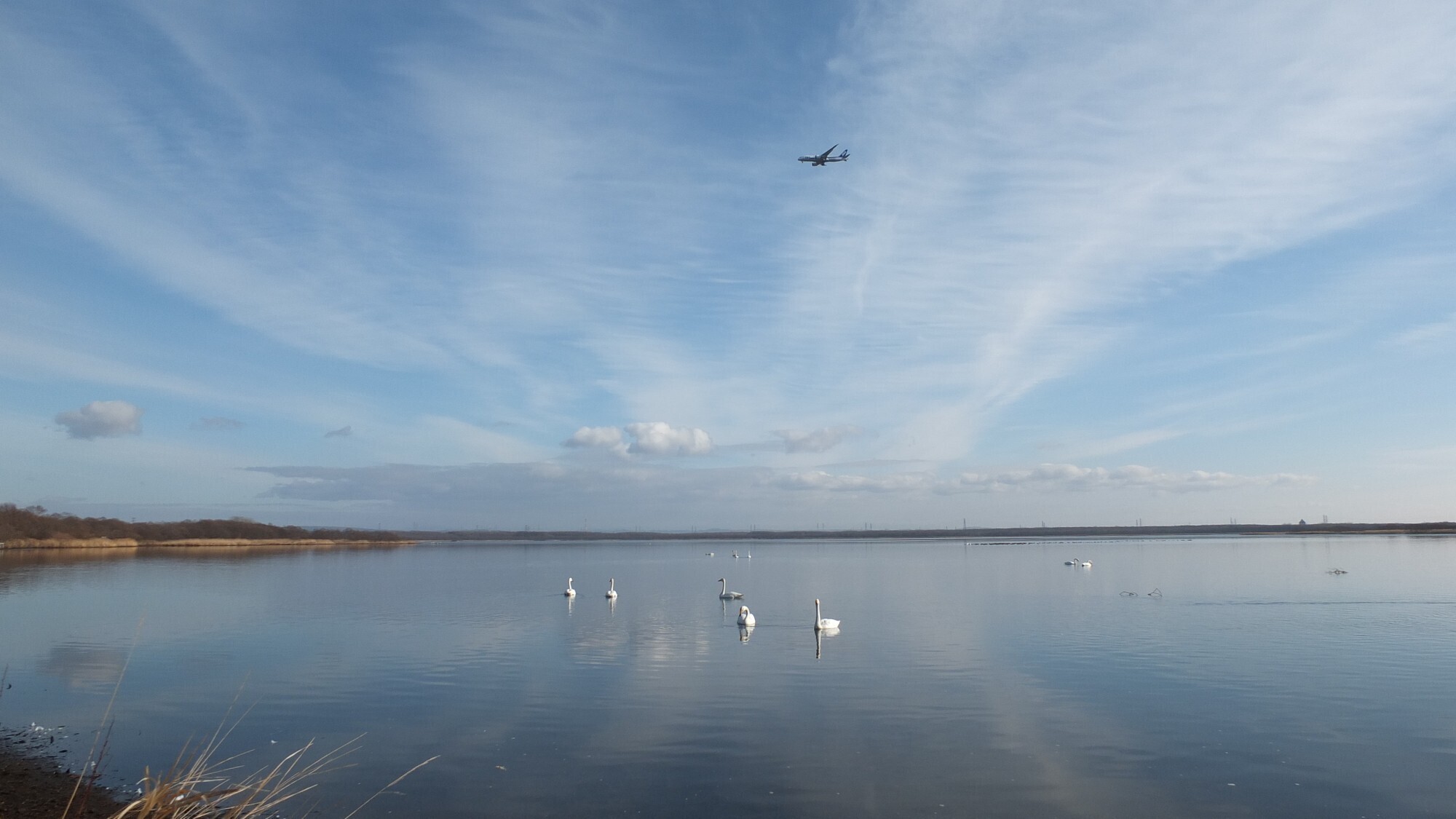 【観光画像】ウトナイ湖