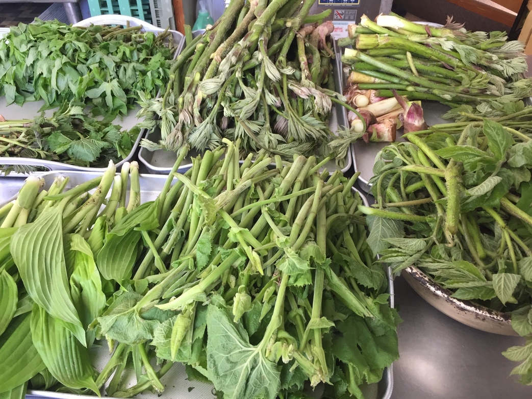 ゆっくりと和室でくつろぎ、季節の月山の山菜・郷土料理を・・・【和室プラン】　