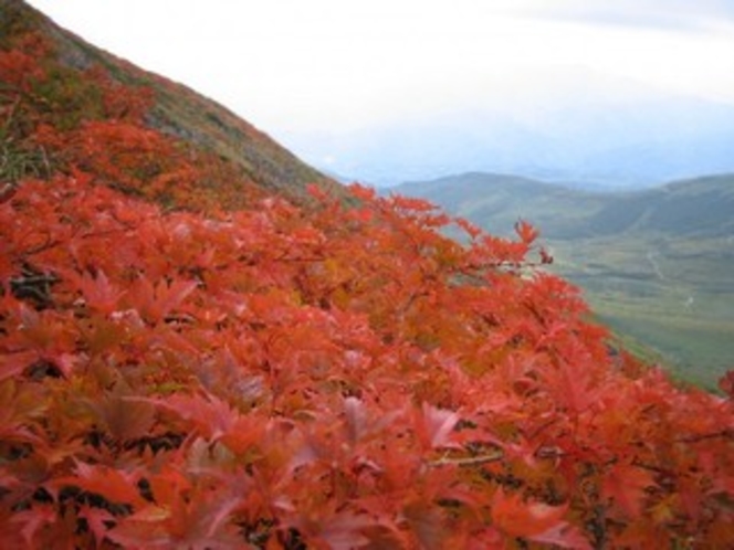 月山　秋