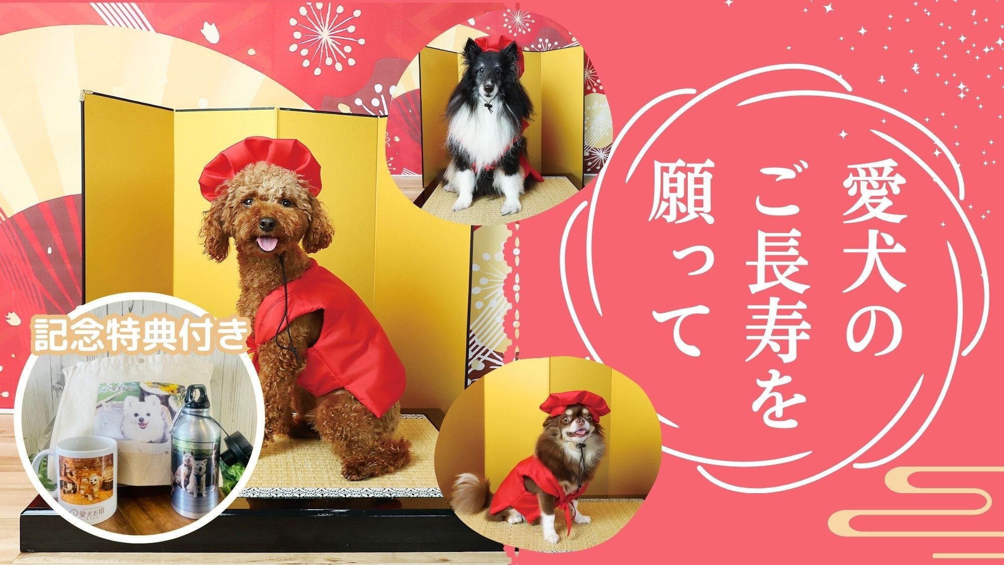 【わんこ長寿祝い】愛犬ちゃんちゃんこでお祝い！お祝いケーキ＆ギフトBOX　1泊2食飲み放題