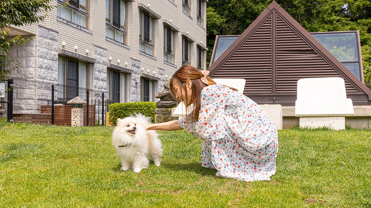 【温泉SALE】愛犬と一緒に楽しむ 1泊2食飲み放題プラン