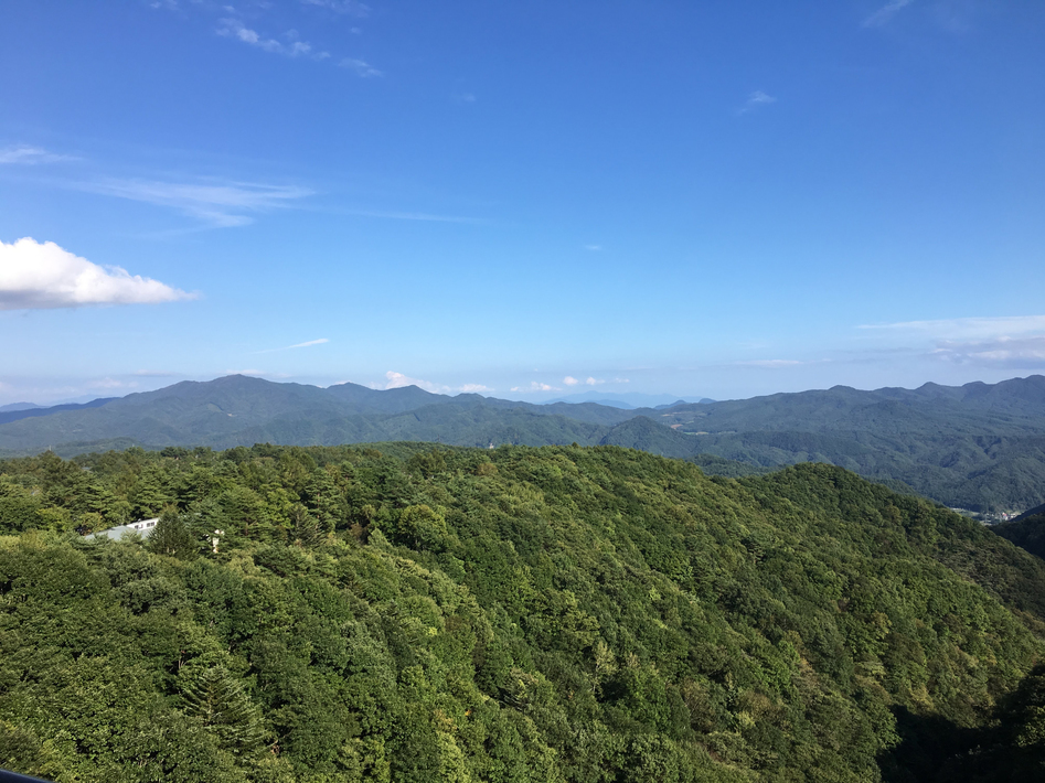 静寂の環境と名湯草津の湯！1泊3食付き…心と体が生まれ変わるフレンチマクロビプランーVegan対応ー