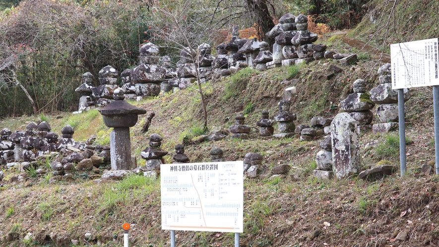 神興寺僧侶の墓石群：紫尾山祁答院神興寺歴代住職たちの墓石です。