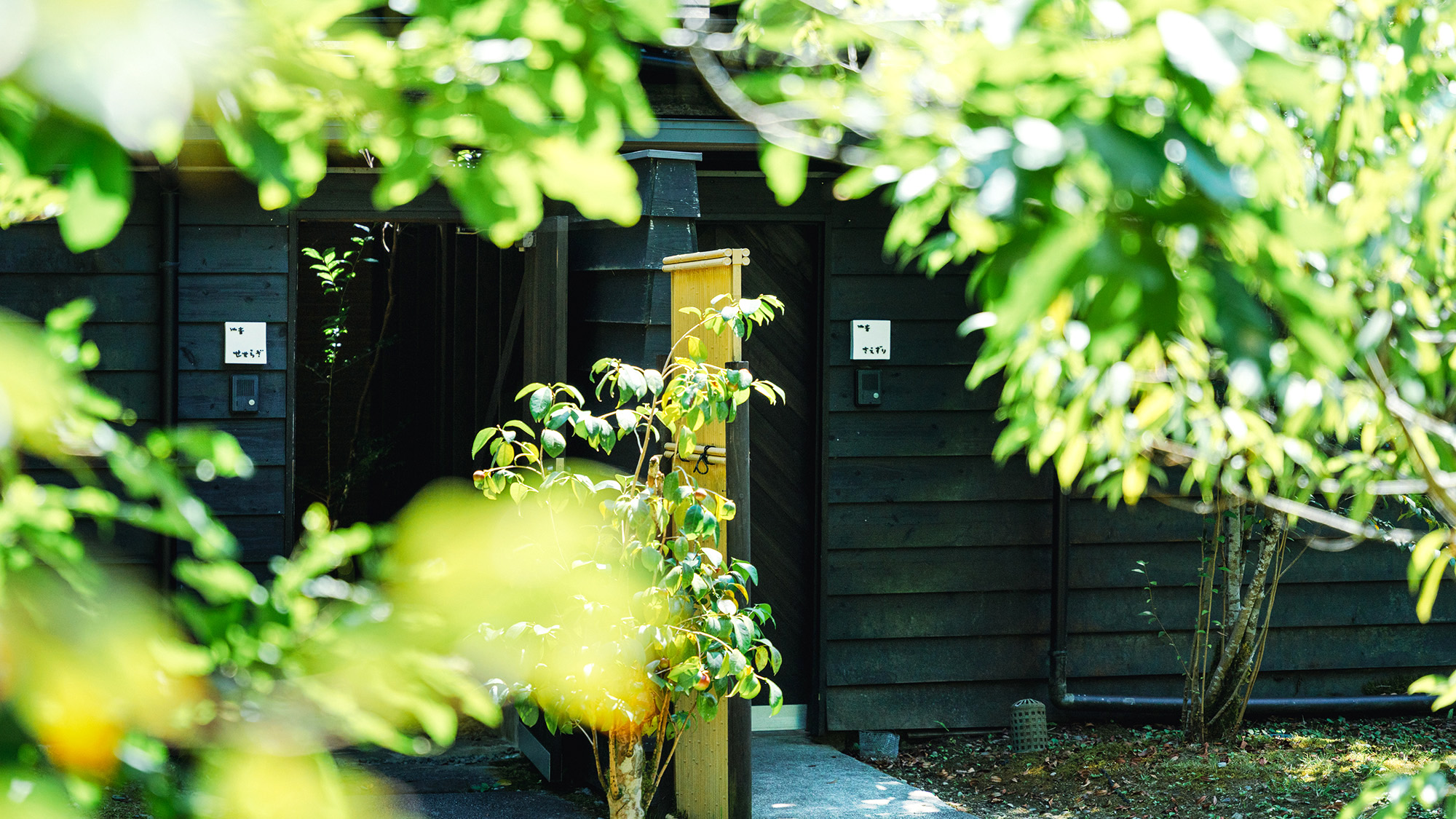 山あいにひっそり佇む、まさに大人の隠れ宿。日々の喧騒を離れのんびりとおくつろぎください。