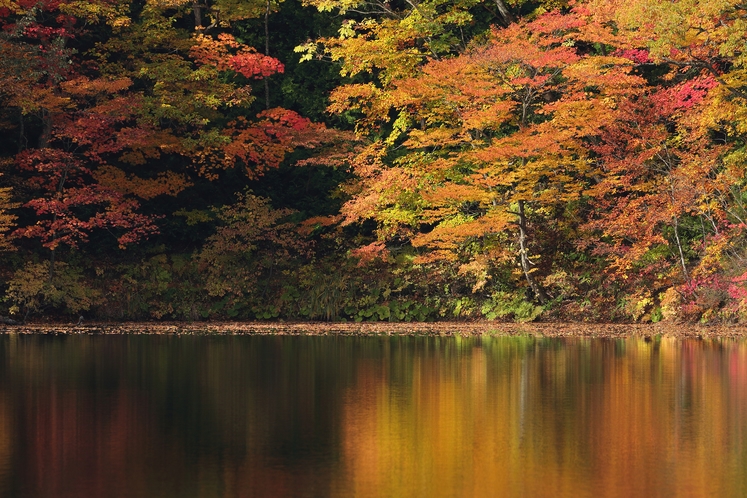 十二湖　紅葉