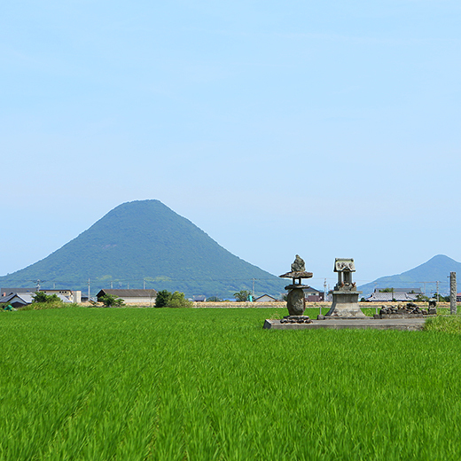 Sanuki Fuji (Mt. Iino) towering over the Sanuki Plain