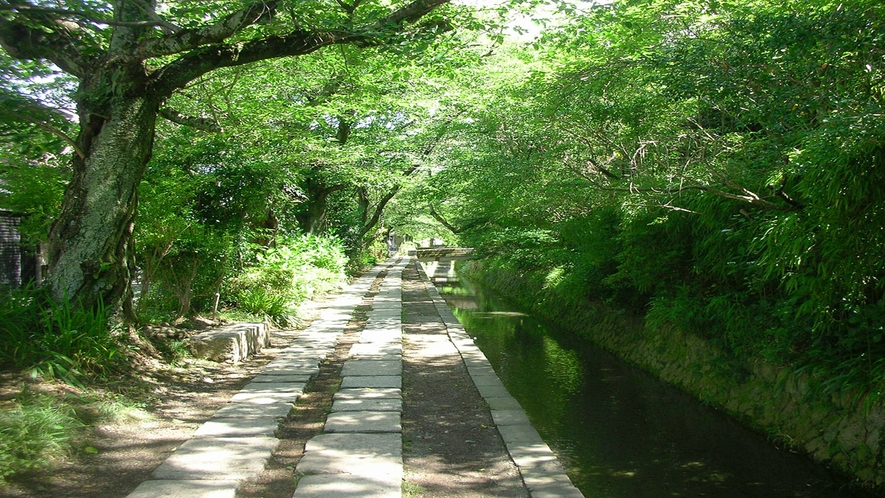 哲学の道