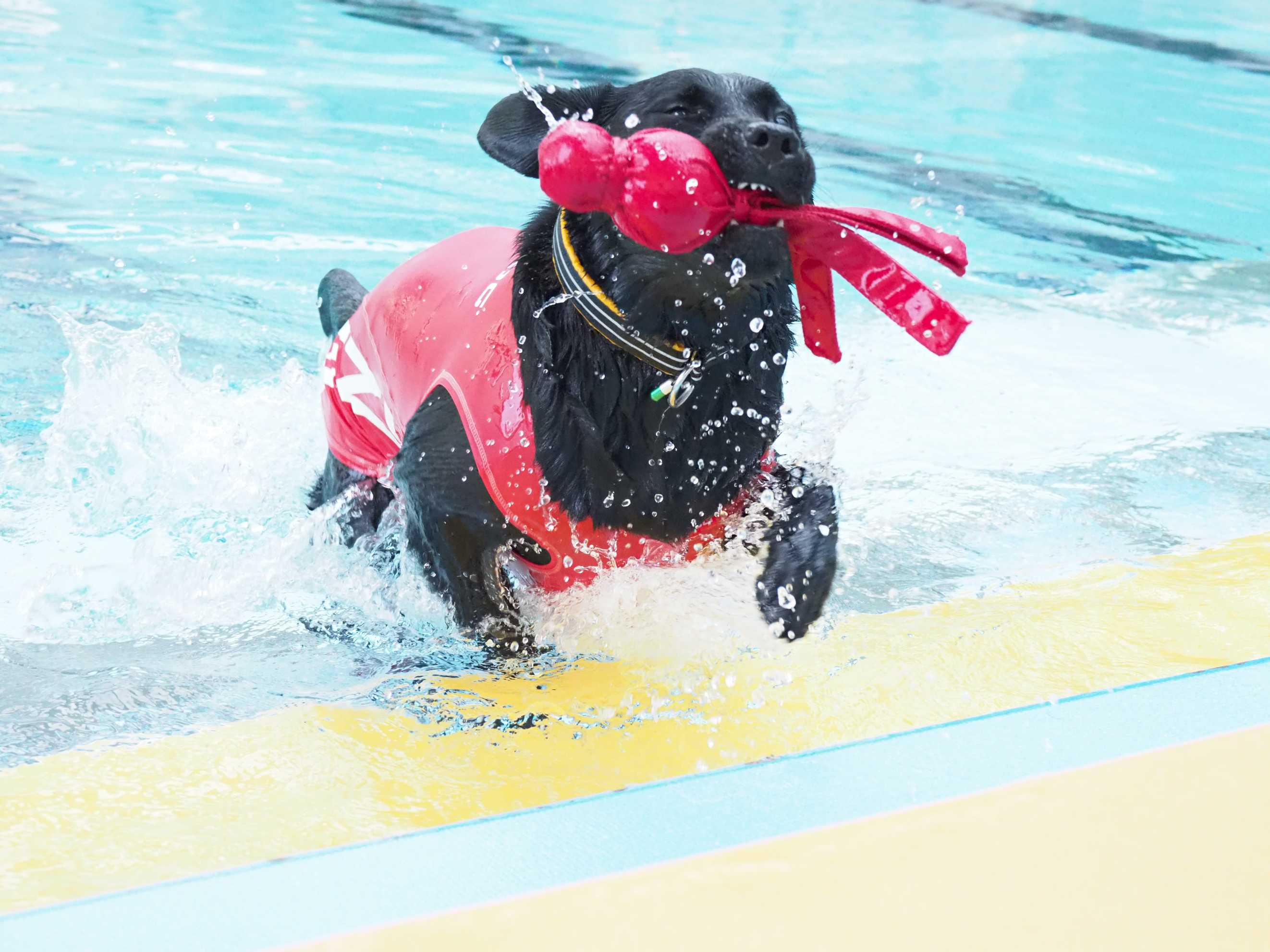 【食事なし】愛犬と過ごす気ままな素泊まりプラン