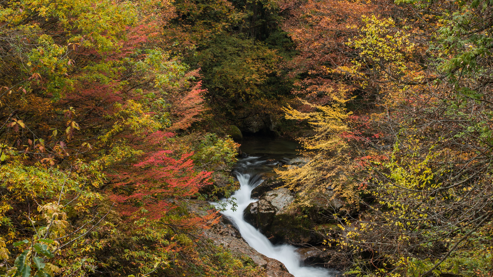 【紅葉の絶景スポットが数ある白布温泉】秋は一番人気の季節。写真撮影にも最適です。