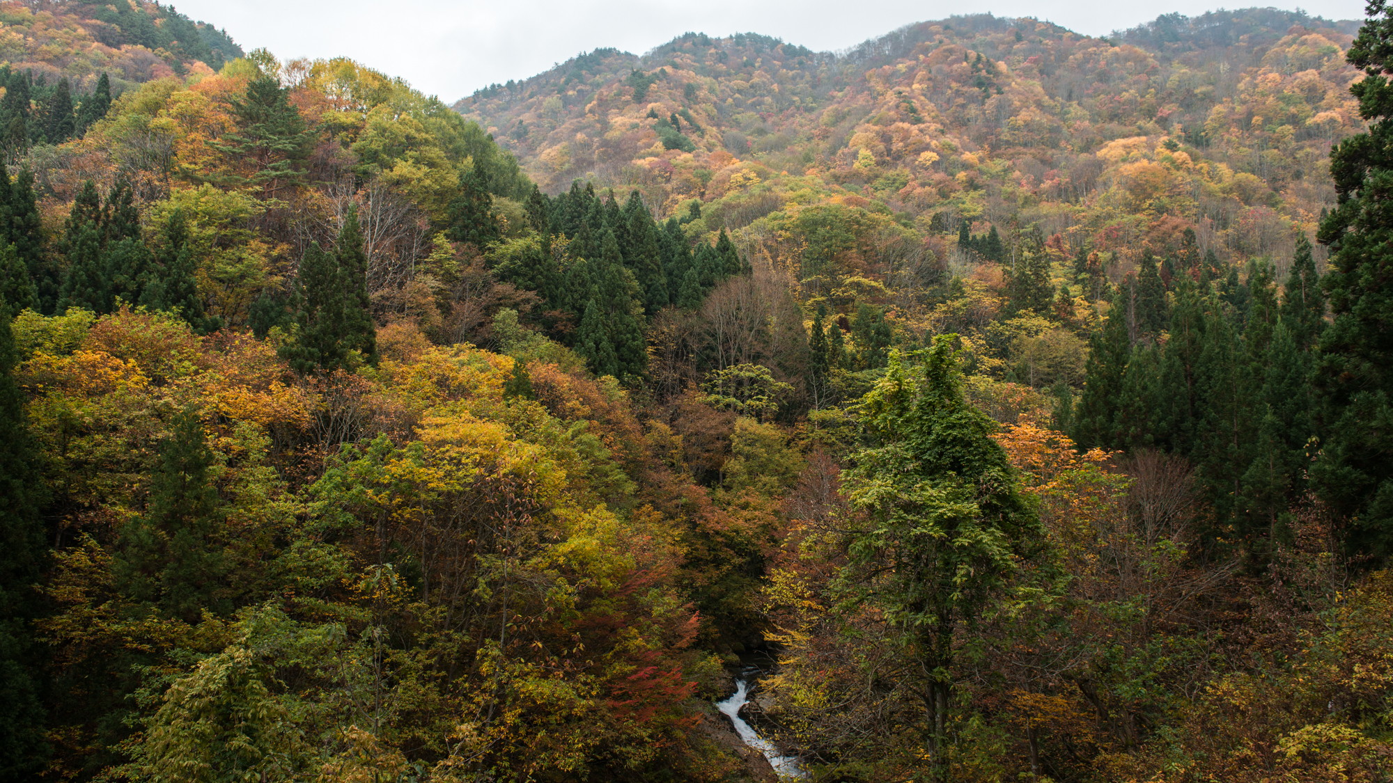 【紅葉の絶景スポットが数ある白布温泉】秋は一番人気の季節。写真撮影にも最適です。