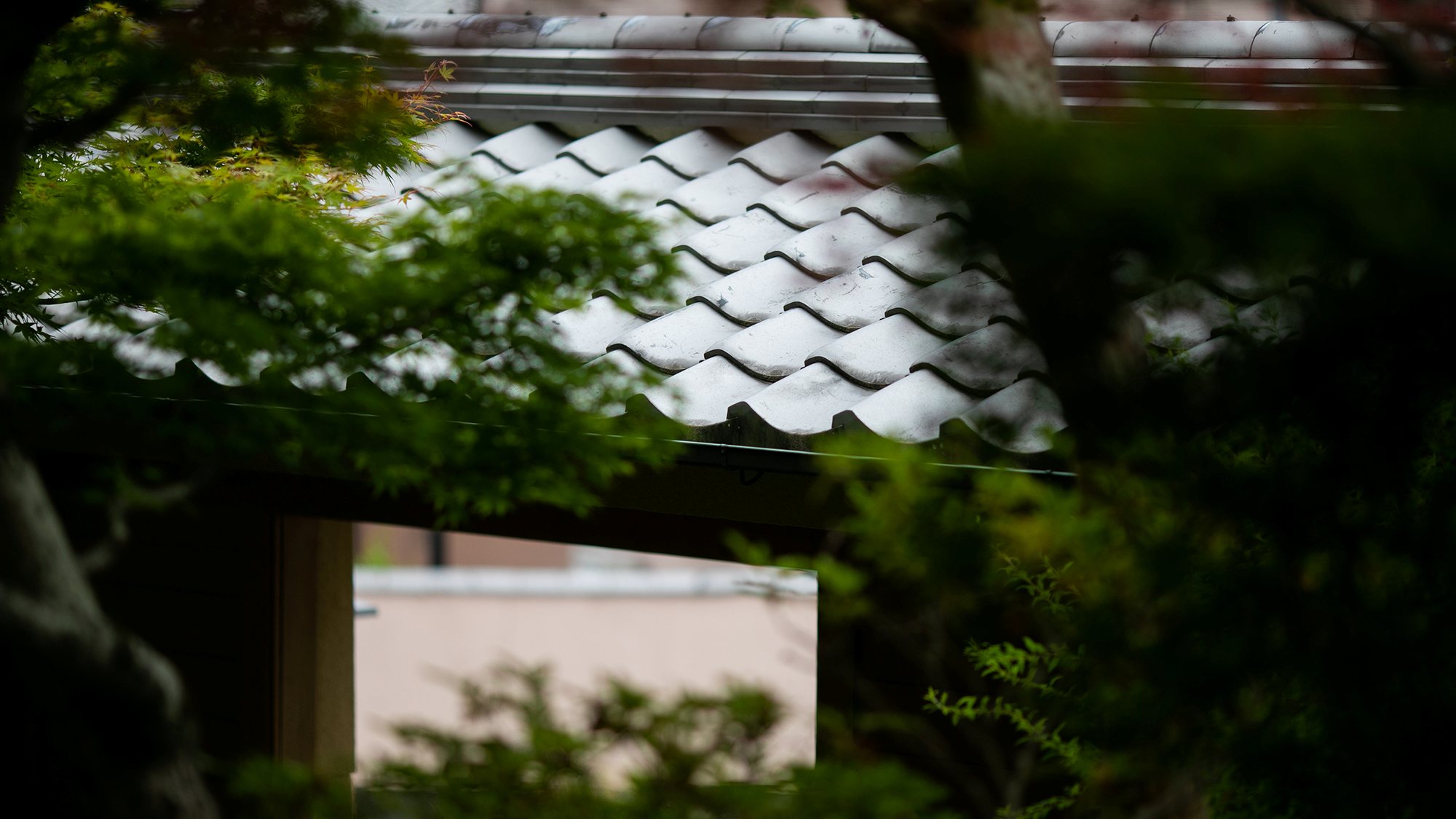 *玄関