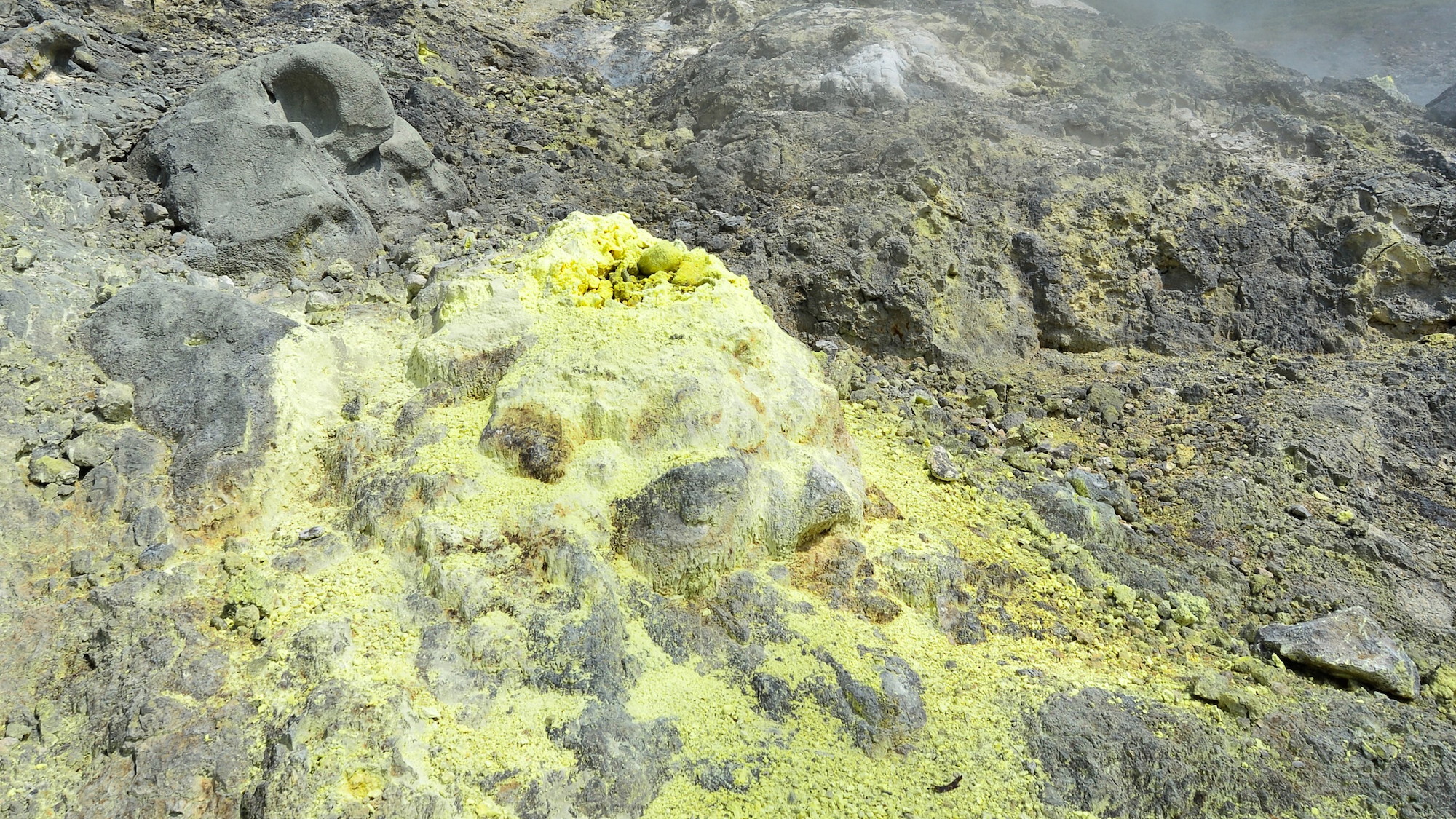 【自然研究路】自然の息吹を感じることができます。