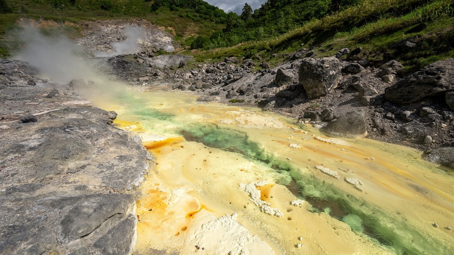 【自然研究路】源泉がお湯の川となって流れ、川底には湯の華が沈殿しています