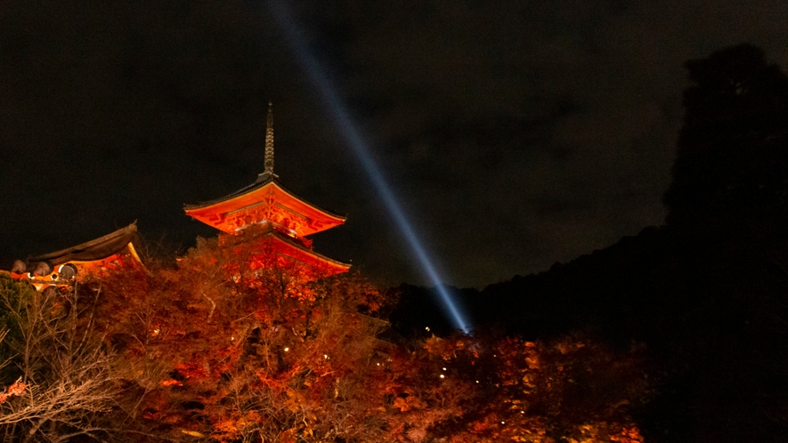 紅葉の頃、ライトアップされた清水寺三重塔