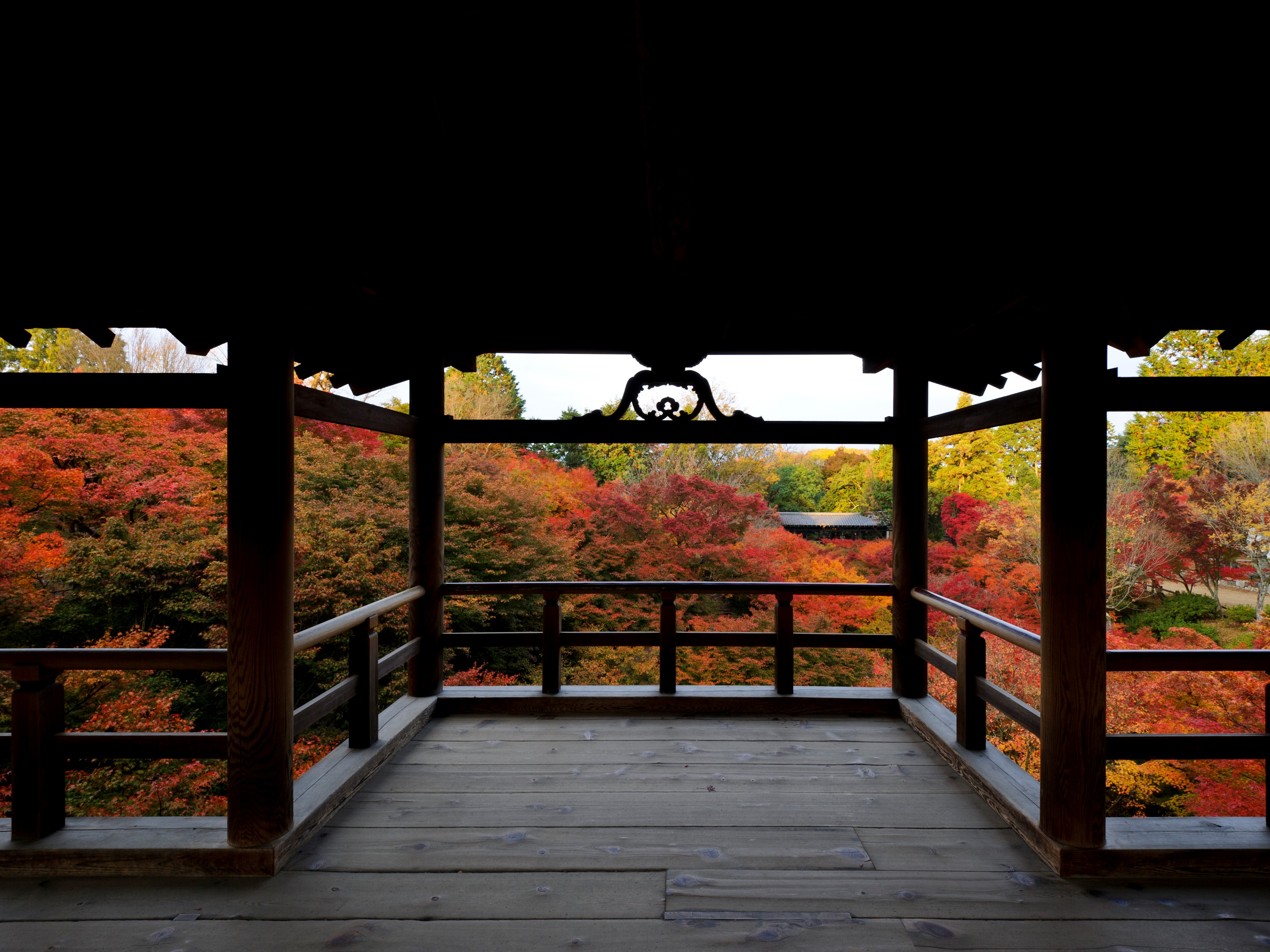 紅葉の名所、東福寺通天橋